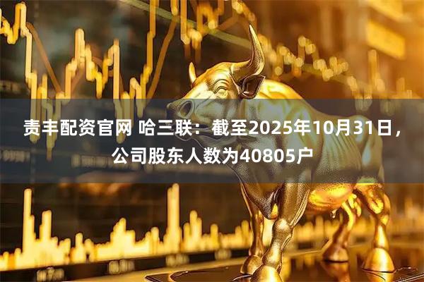 责丰配资官网 哈三联：截至2025年10月31日，公司股东人数为40805户