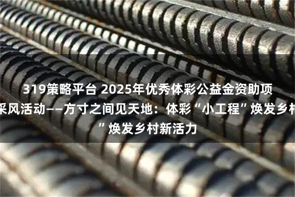 319策略平台 2025年优秀体彩公益金资助项目媒体采风活动——方寸之间见天地：体彩“小工程”焕发乡村新活力