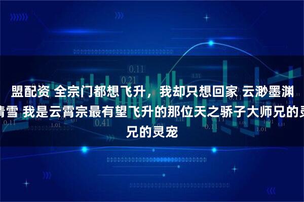 盟配资 全宗门都想飞升，我却只想回家 云渺墨渊苏清雪 我是云霄宗最有望飞升的那位天之骄子大师兄的灵宠